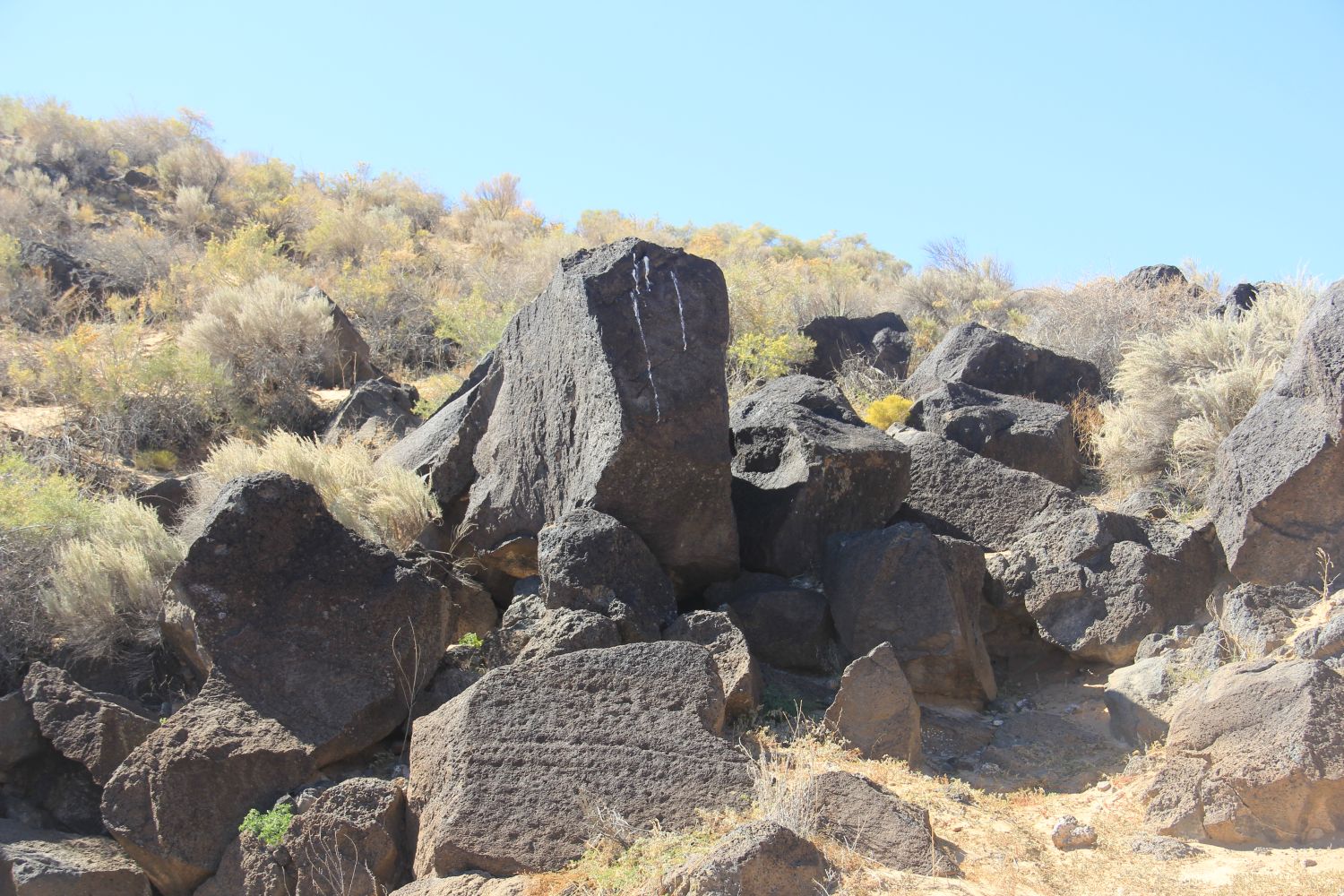 Petroglyph National Monument 